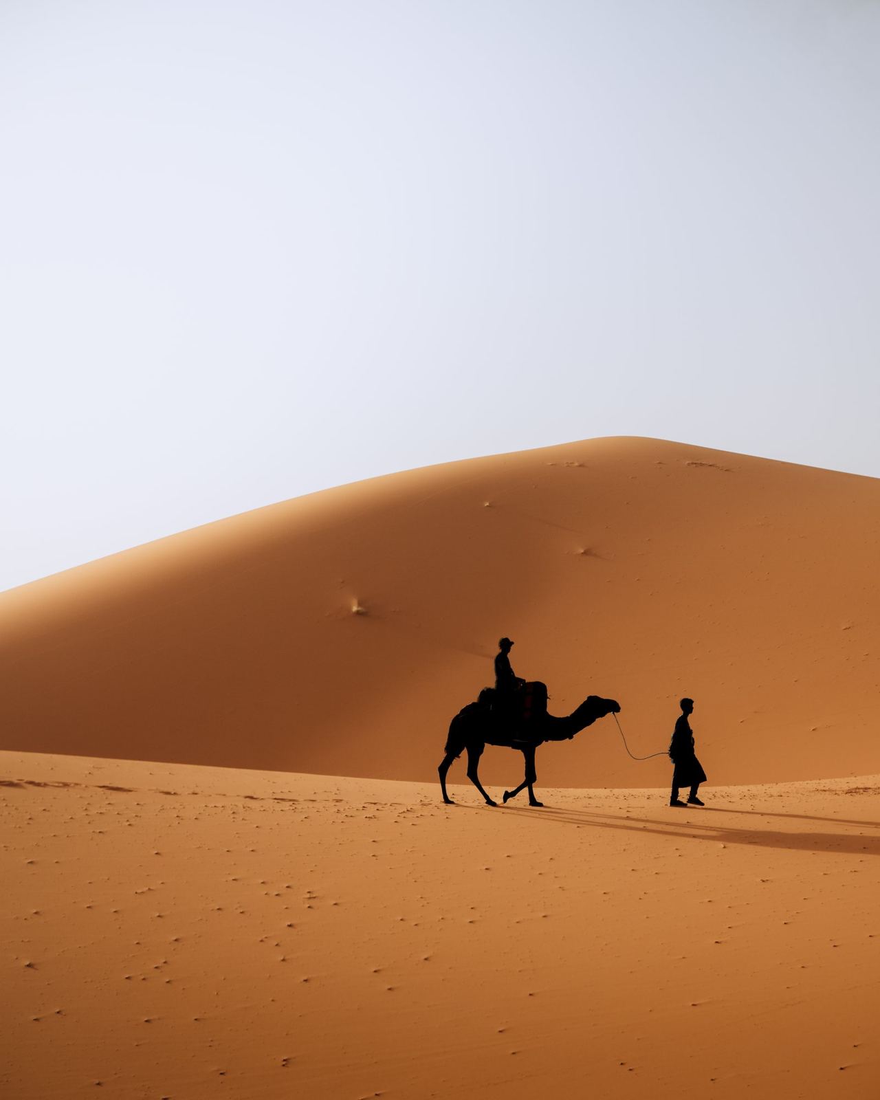 Cammello e cammelliere in controluce sulle dune del deserto marocchino al tramonto
