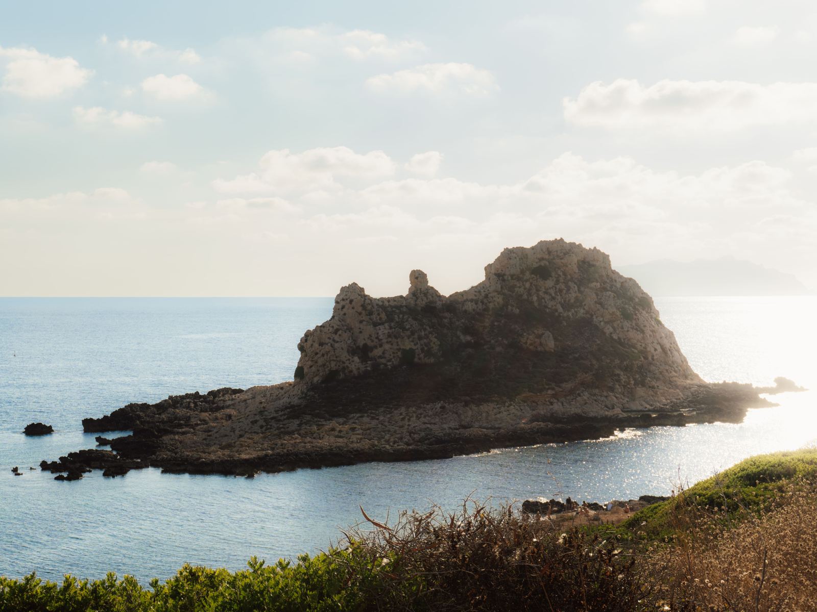 Faraglione roccioso davanti alla costa, vegetazione mediterranea in primo piano