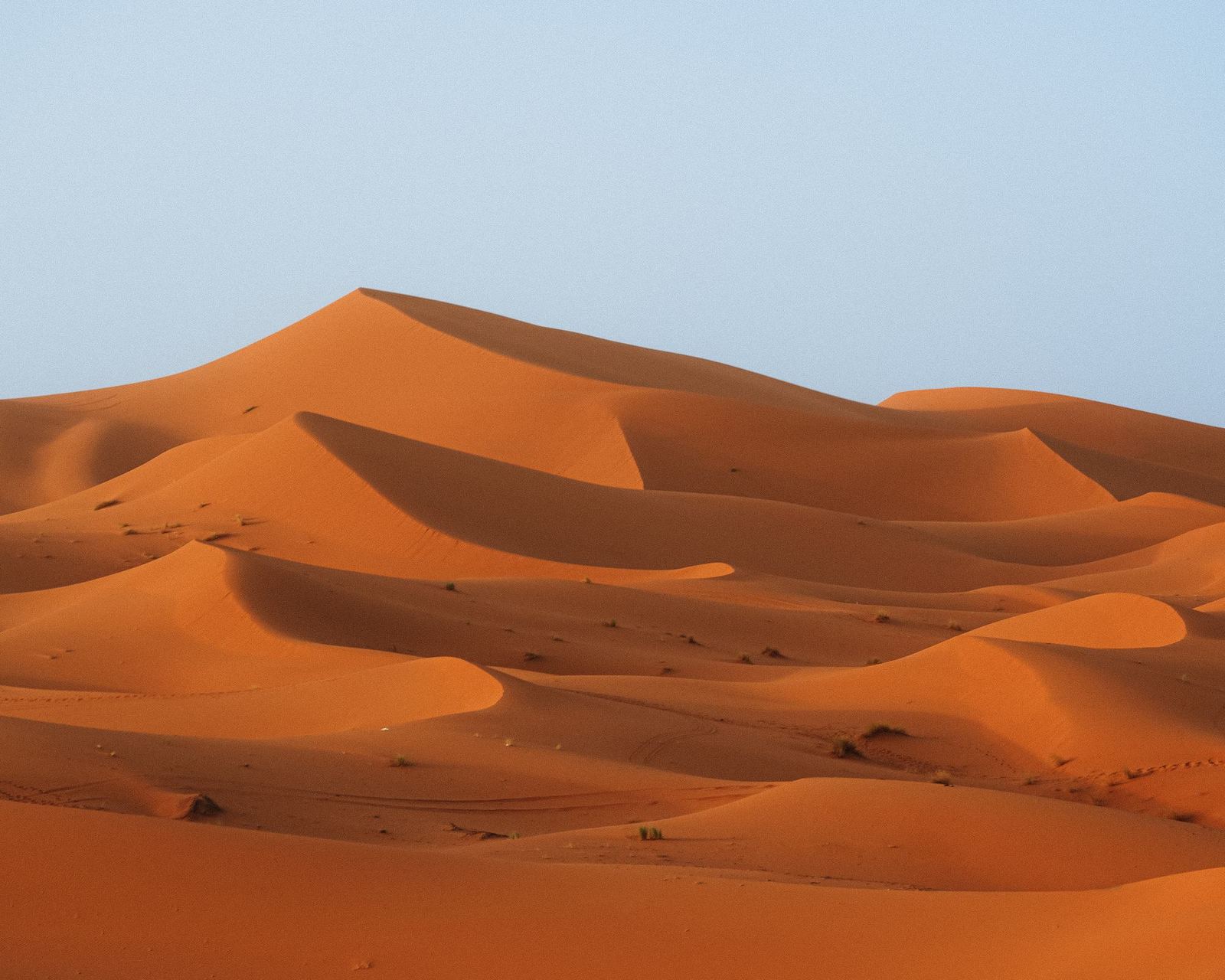 Dune del deserto del Sahara nella luce del tardo pomeriggio